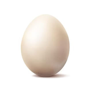 Egg